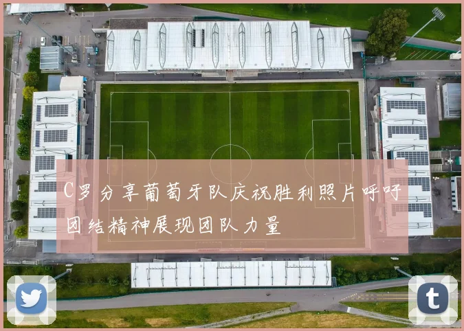 C罗分享葡萄牙队庆祝胜利照片呼吁团结精神展现团队力量