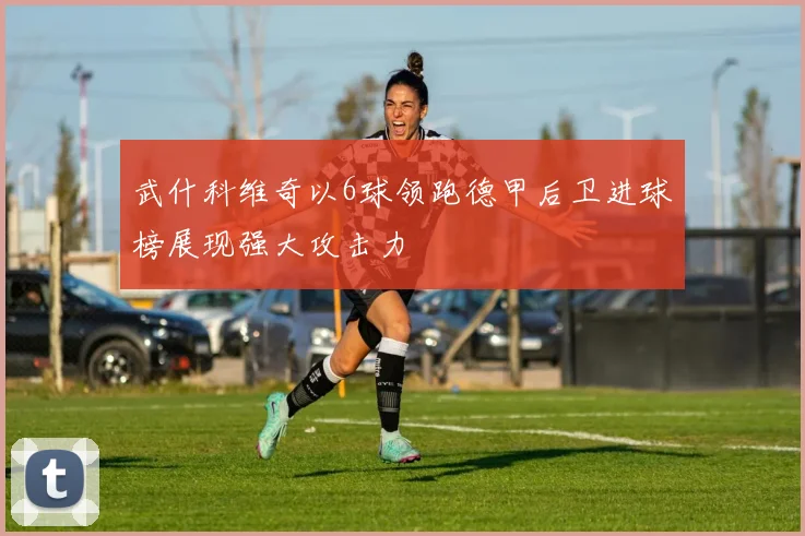 武什科维奇以6球领跑德甲后卫进球榜展现强大攻击力