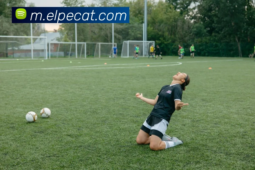 数据分析功能
